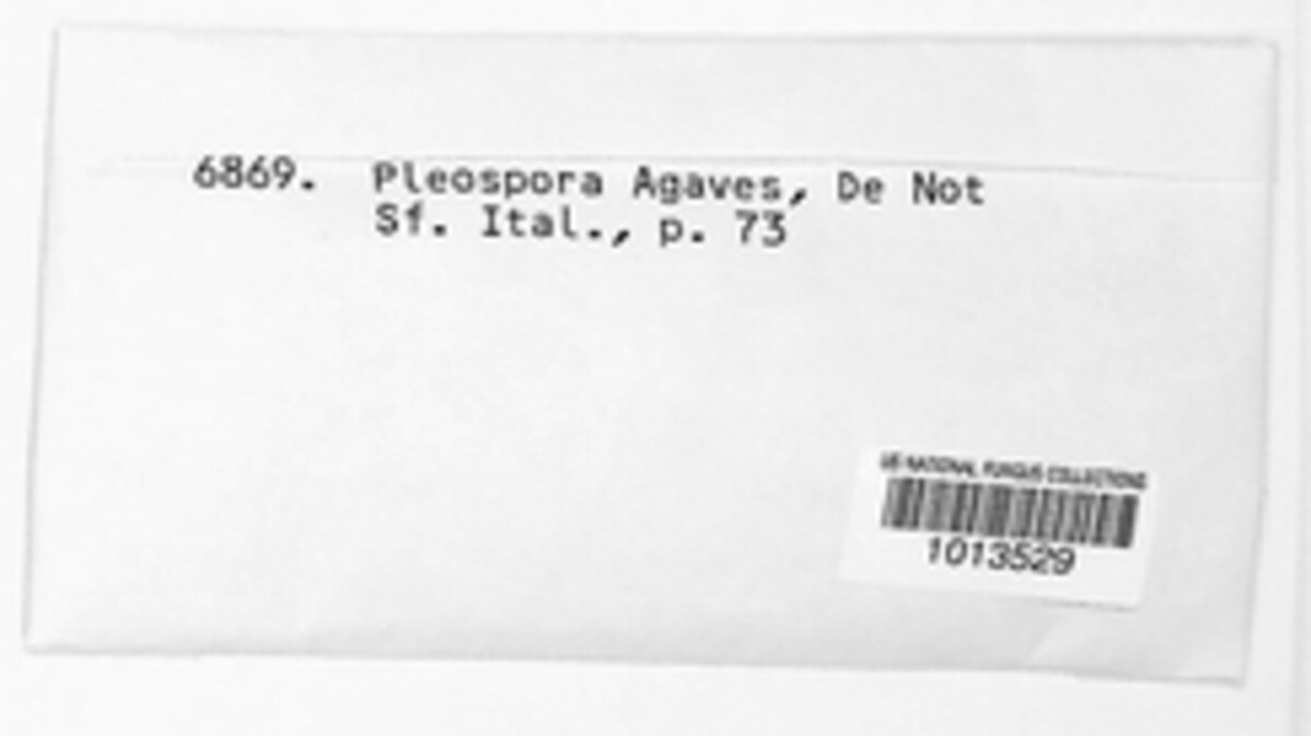 Pleospora agaves image